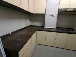 Upper Paya Lebar Road (D19), Shop House #600406521